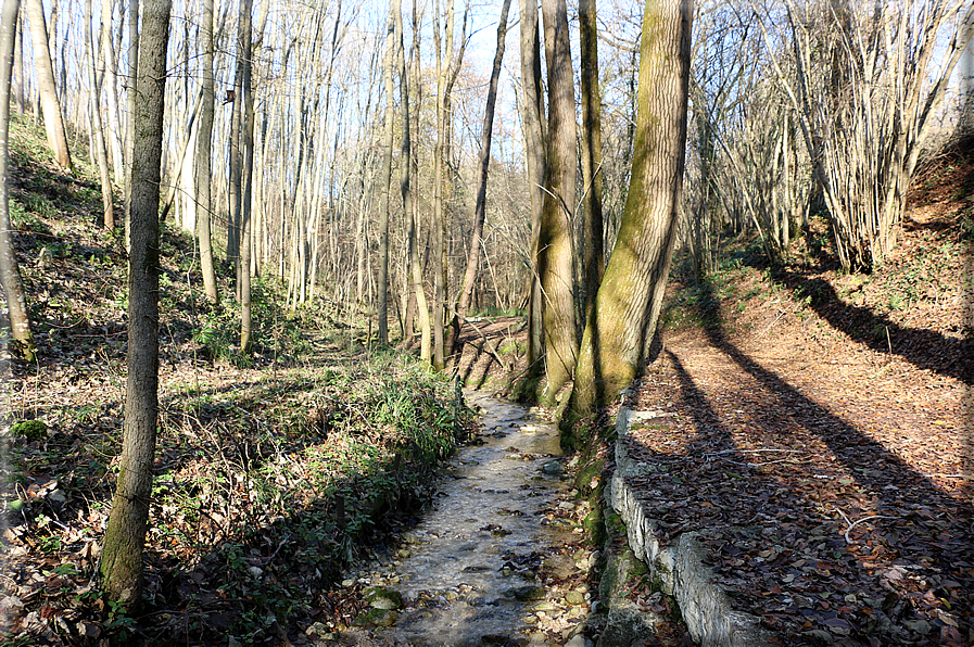 foto Sentiero degli Ezzelini